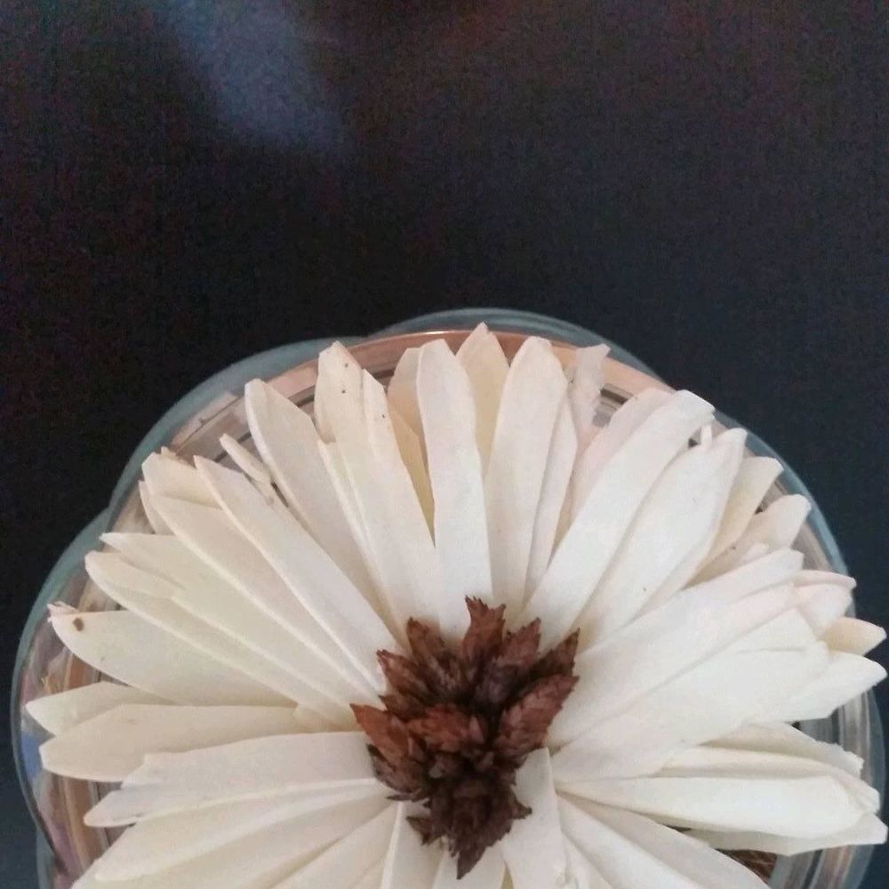 Meet your Posher, Taggwa